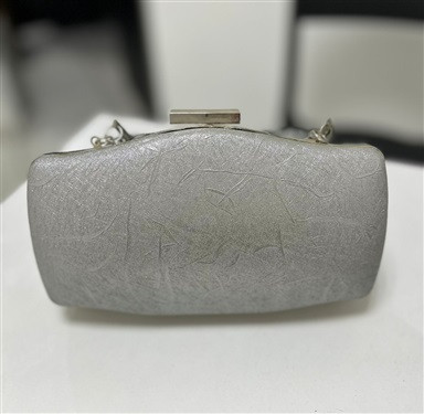 Clutch Prata com Textura
