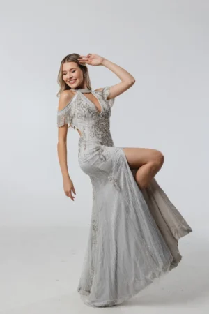 Vestido Prata Bordado Franja no Braço