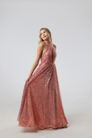 Longo Agilita Rosa Frente Única Bordado Paetê